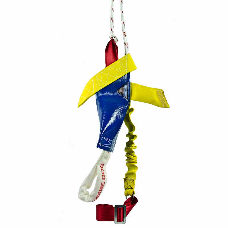 aussie_dog_bungee_chook_heavy.jpg