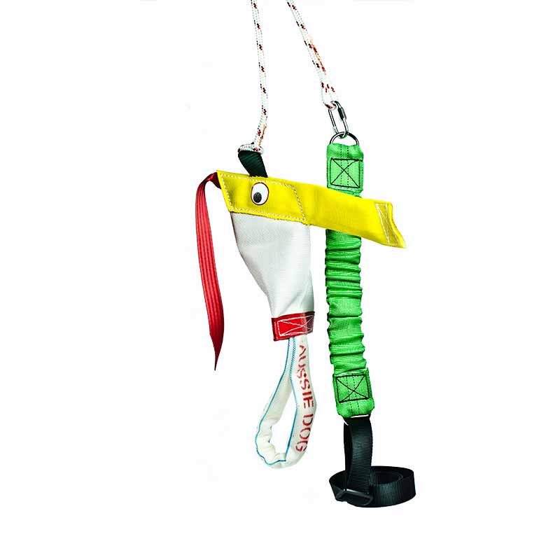 aussie_dog_bungee_chook_standard.jpg