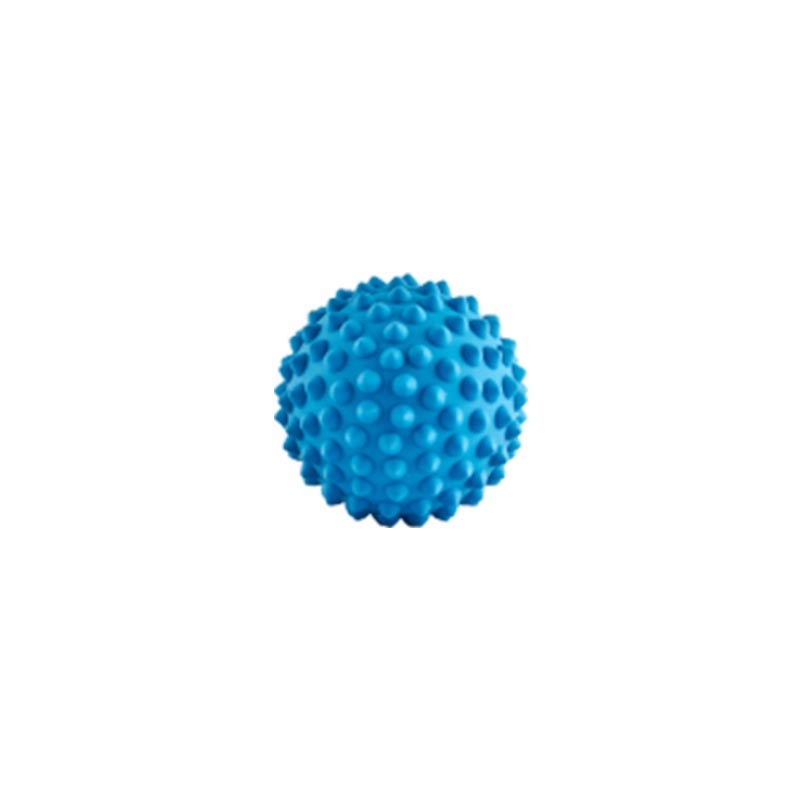 aussie_dog_catch_ball_blue.jpg