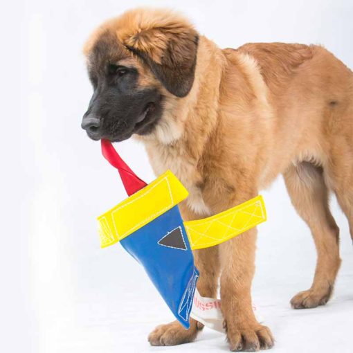 aussie_dog_chook_heavy2.jpg