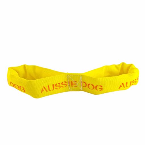 aussie_dog_eightathong_large.jpg