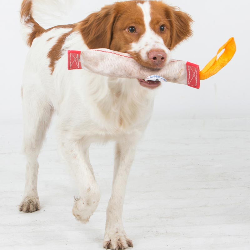 aussie_dog_fetchit_small2.jpg