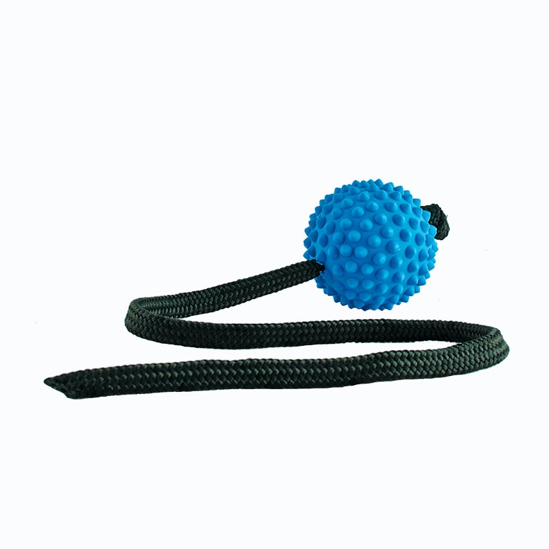 aussie_dog_long_ball_blue.jpg