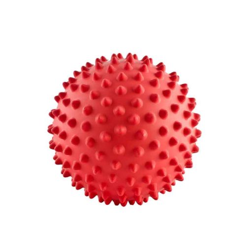 aussie_dog_mitch_ball_red.jpg